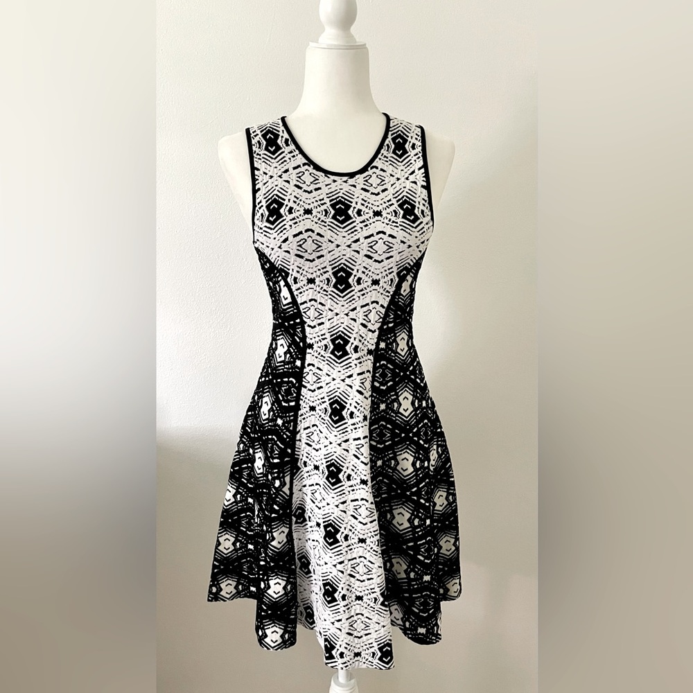 Parker Fit and Flare Dress